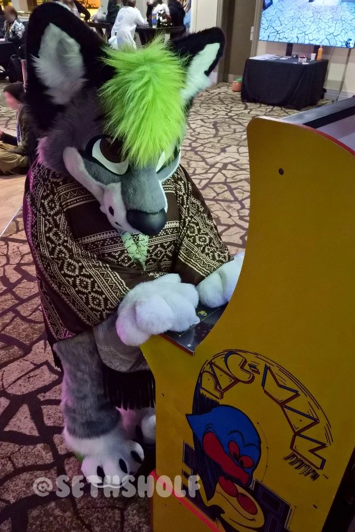 SethSholf's tweet photo. Hey, could you help me get on the scoreboard? I've never played this game before! 
#fursuit #furryfandom #scotiacon https://t.co/F87ZjMvC2h