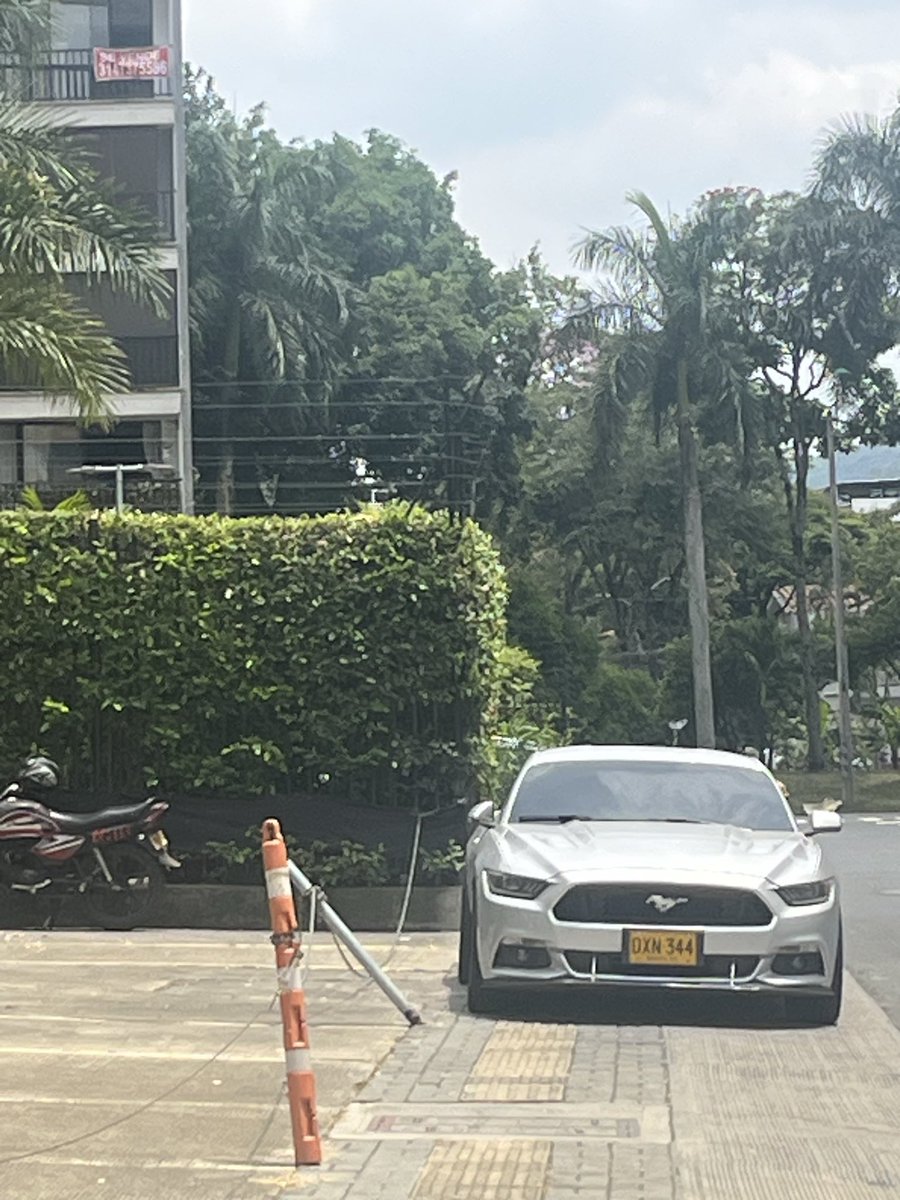 Ana Maria Saavedra tweet media