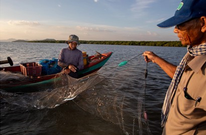 TrailblazerFdn's tweet photo. Mangroves = livelihoods restored
In Koh Kresna, Cambodia, a once-devastated fishery is thriving again after 20 years of community-led restoration—reviving marine life and protecting coasts. 

Find the NPR link on our In the News page: https://t.co/JjaHLYjjIJ https://t.co/VIJRGpnyCh