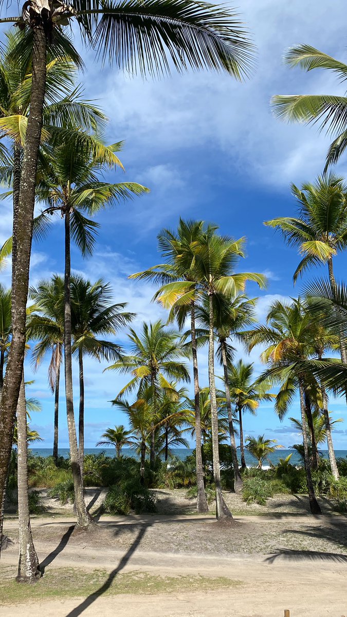 Sergio Machado (CONTA NOVA) tweet media