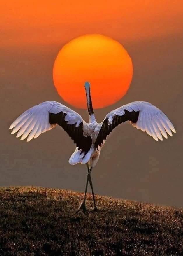 Tock tweet media