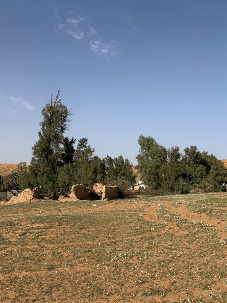 سليمان tweet media