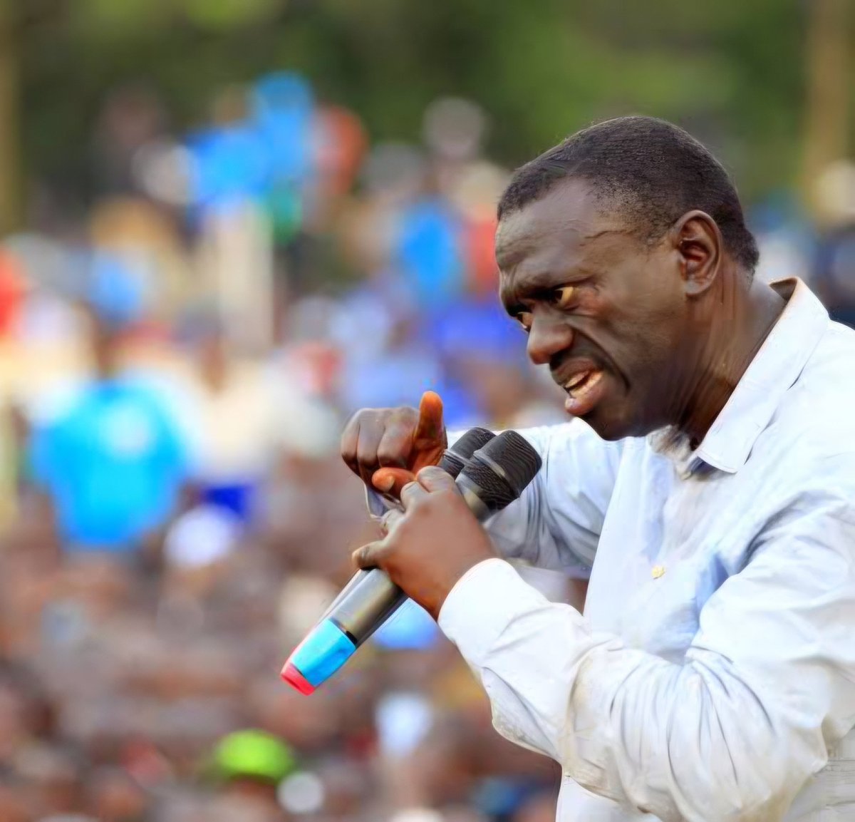 NattyAllan tweet media