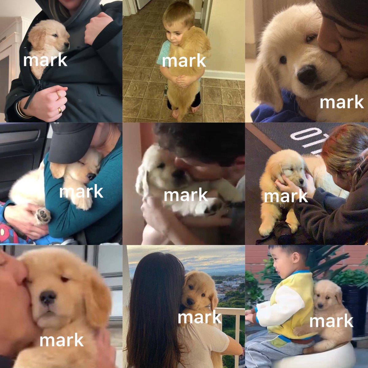 angry paprika tweet media