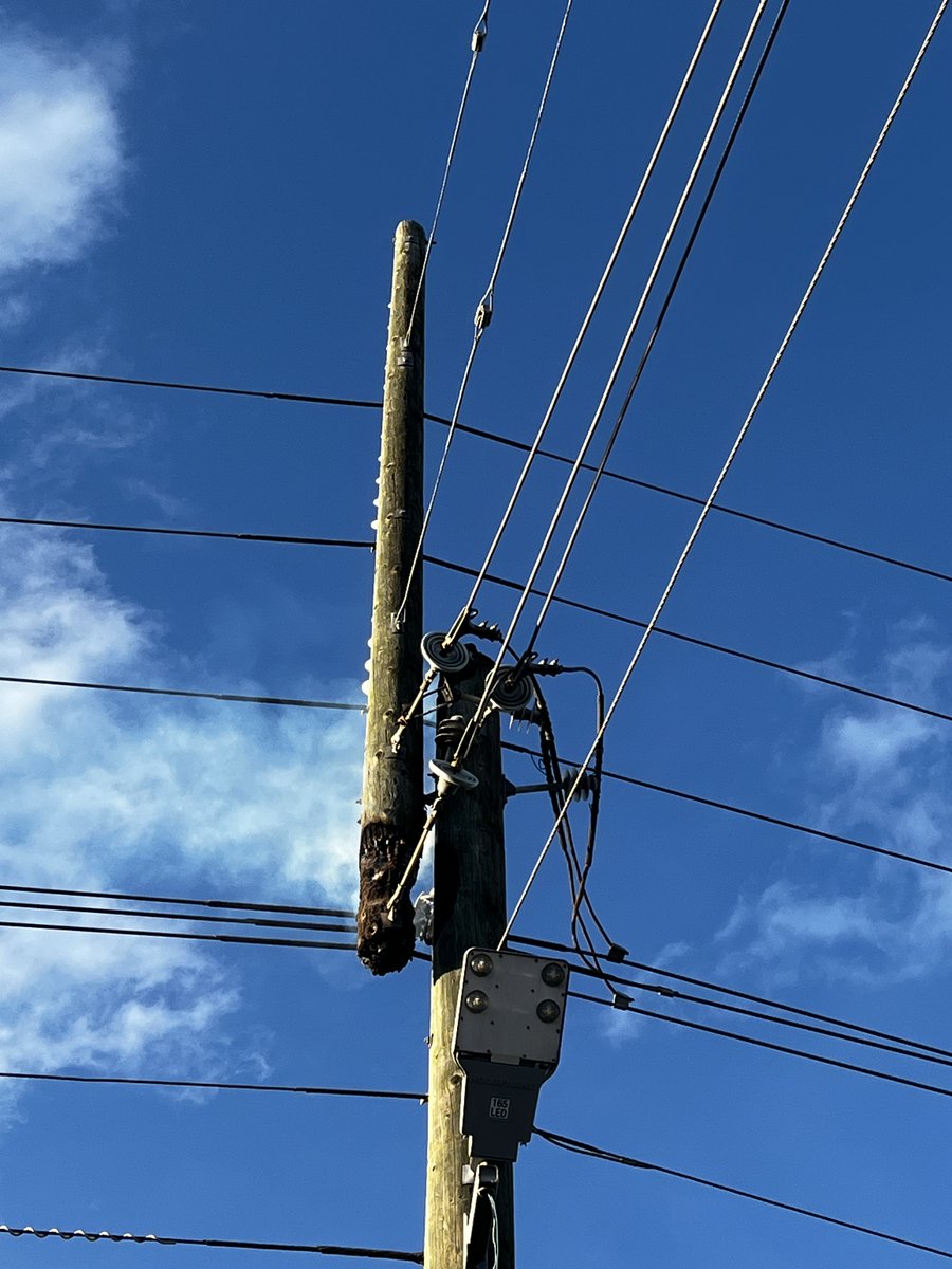 ENMAX Power tweet media