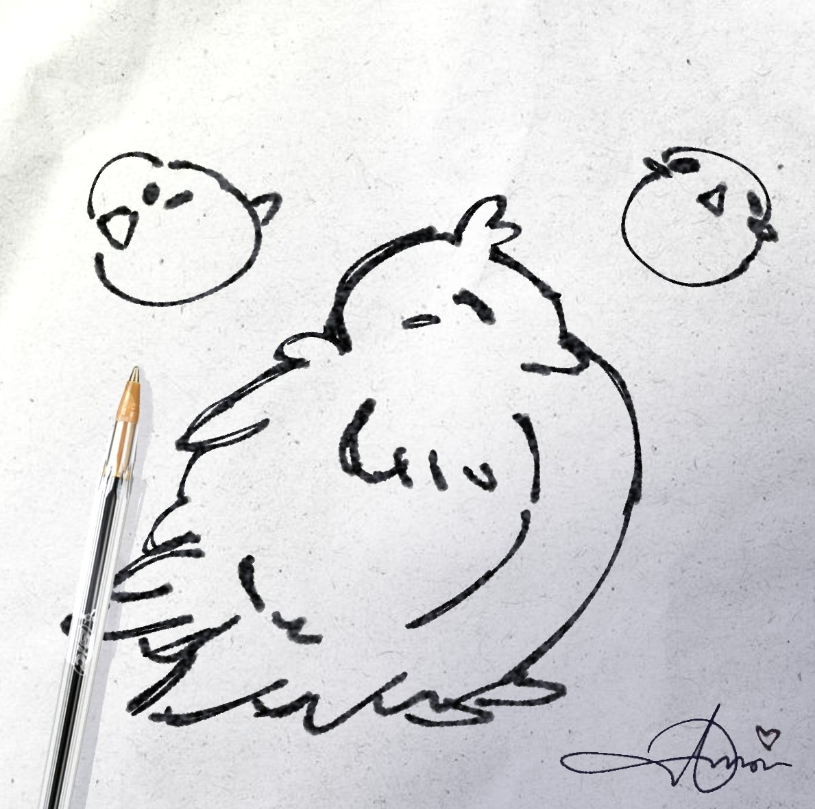 ﹏ ⌑ Amor ⌑ ﹏ tweet media