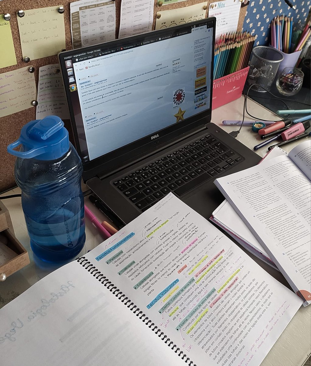 nanda / planilha de estudos no fix 📌 tweet media