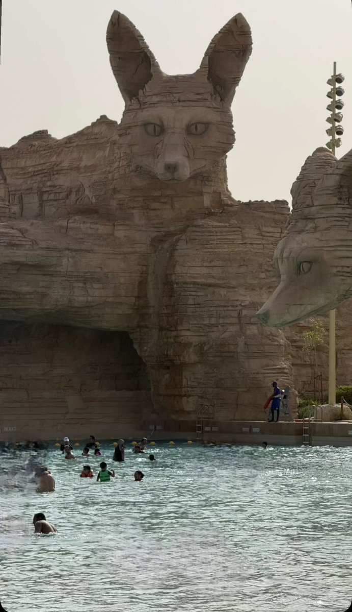 فهد بن عبدالعزيز tweet media