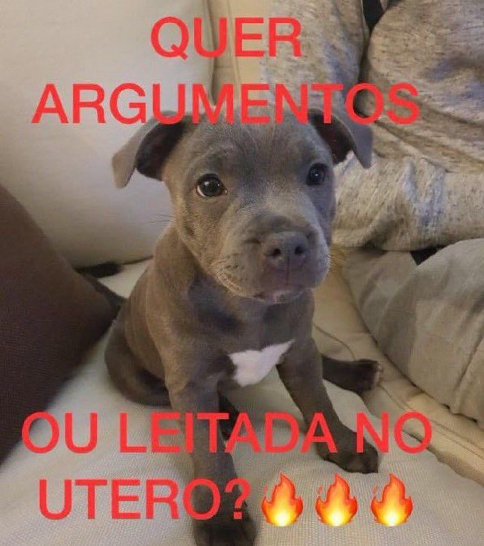 theus tigrinhos tweet media