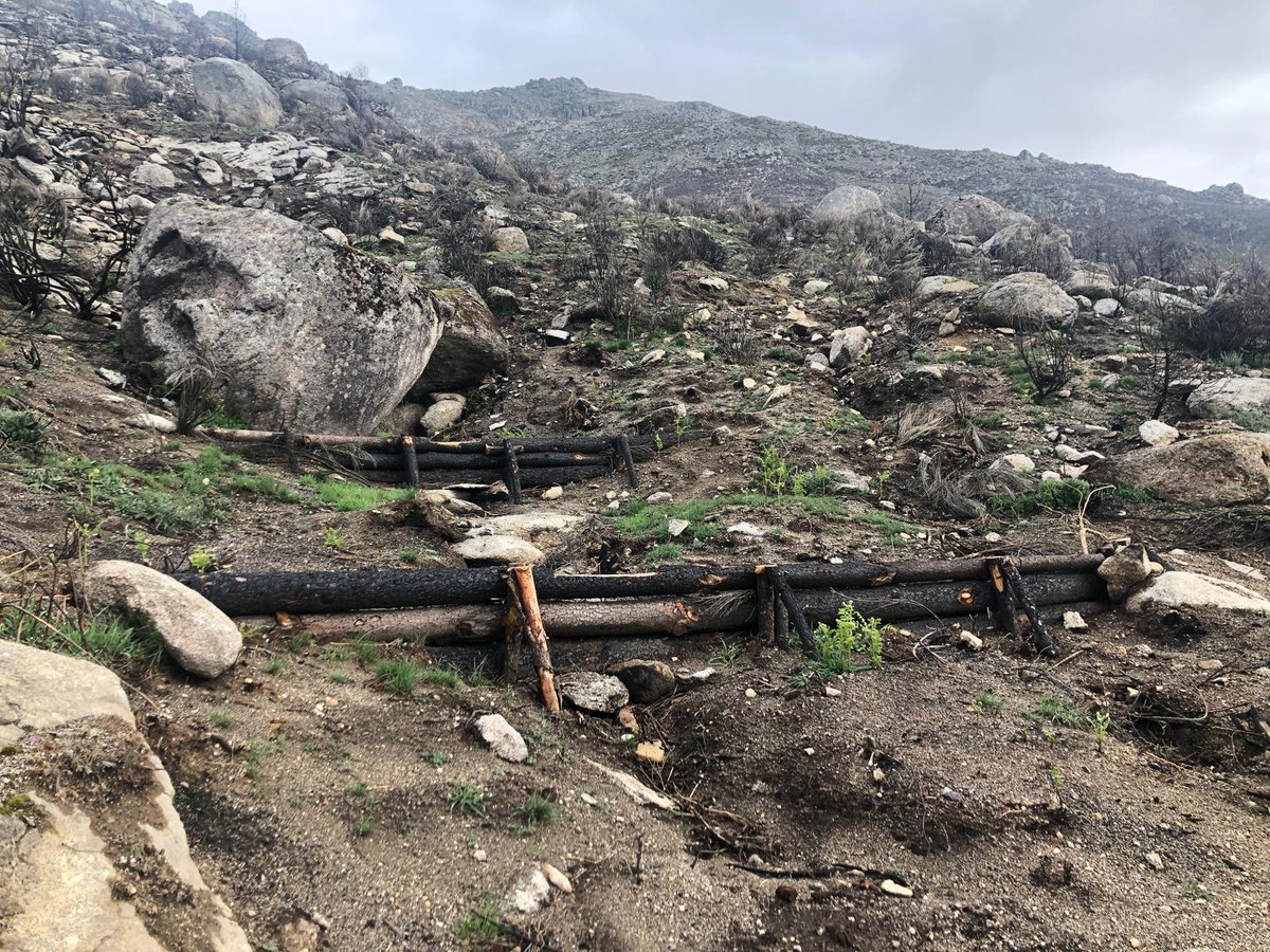 Naturaleza Castilla y León tweet media