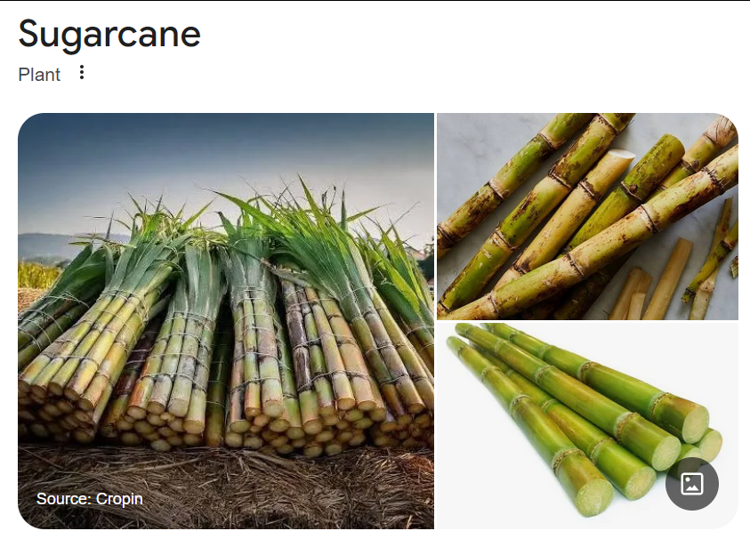 K的记事本 tweet media