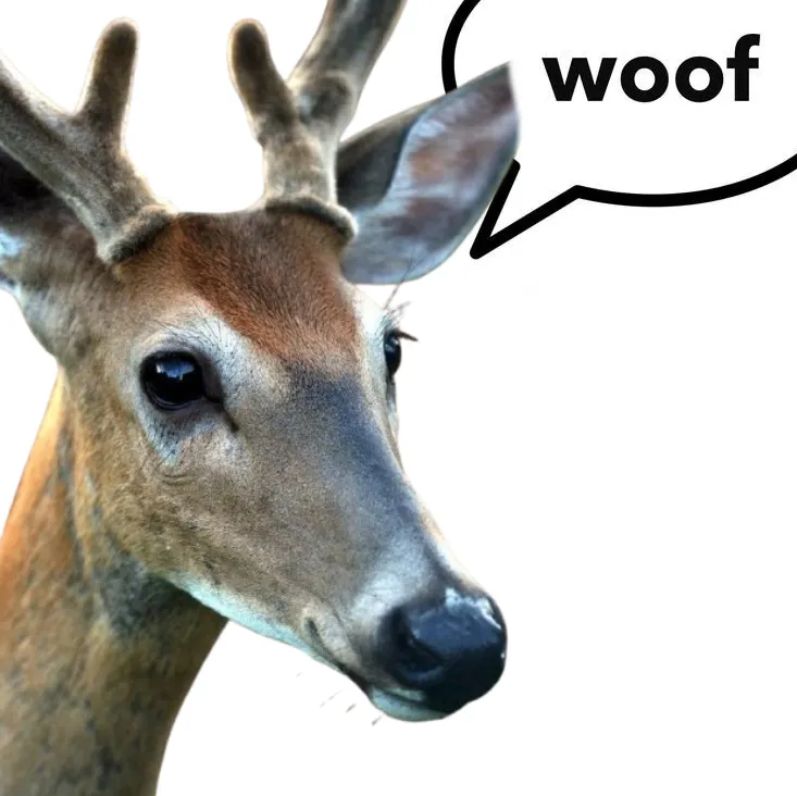 deertexting's tweet photo. https://t.co/XsANiiOOgu