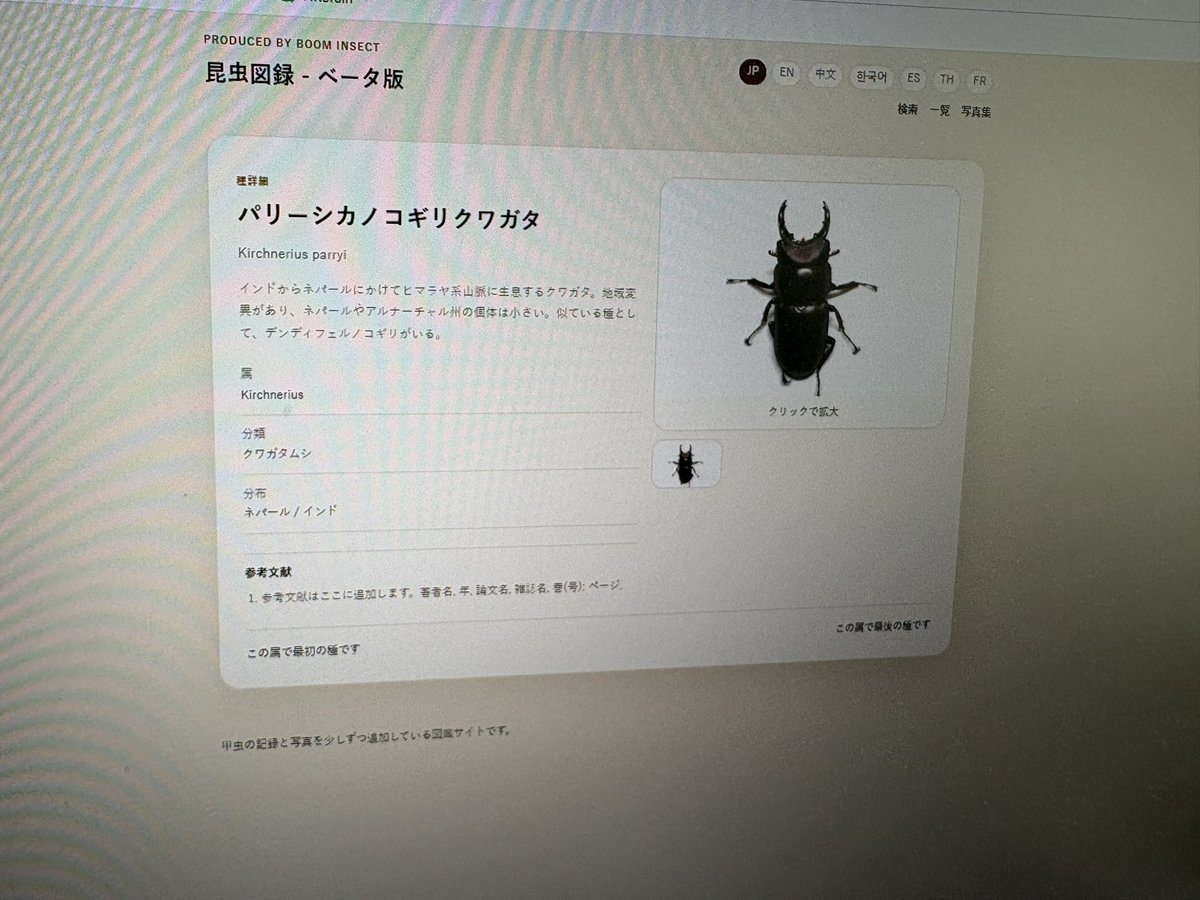 BOOM INSECT tweet media