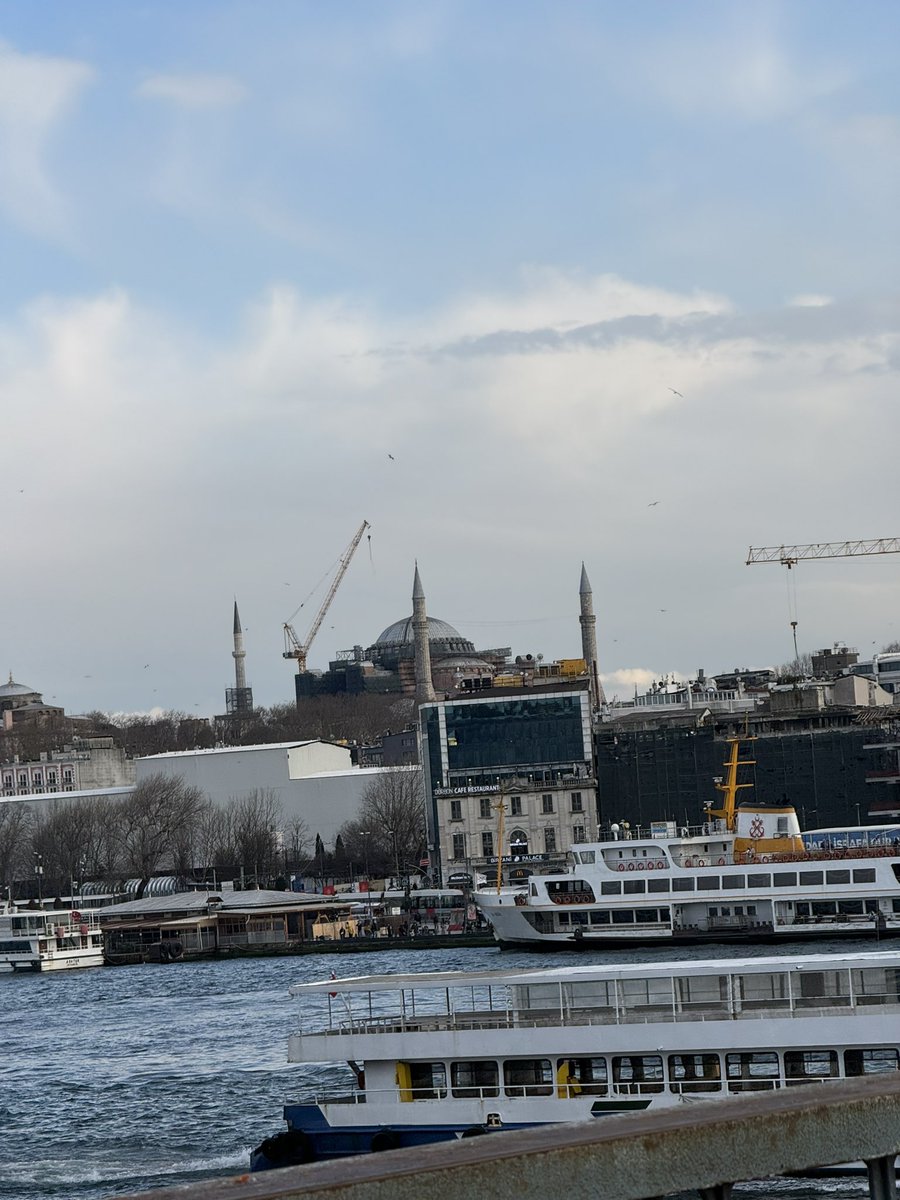 🏛 𝐒𝐭𝐞𝐯𝐞𝐧 🏛 tweet media