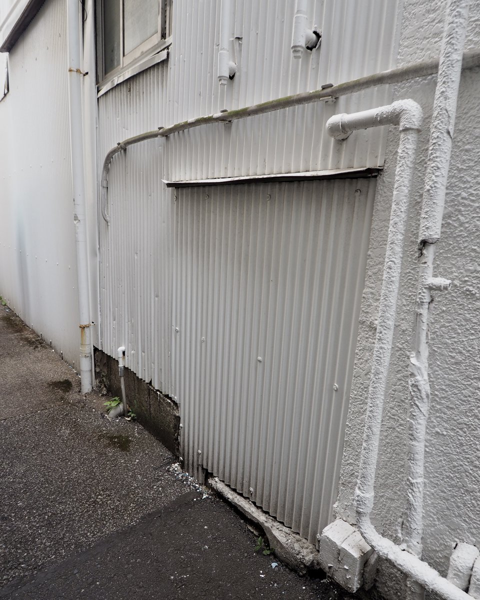 アマガエル tweet media