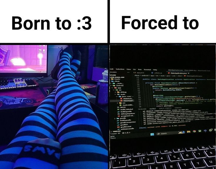 ella🌸 tweet media