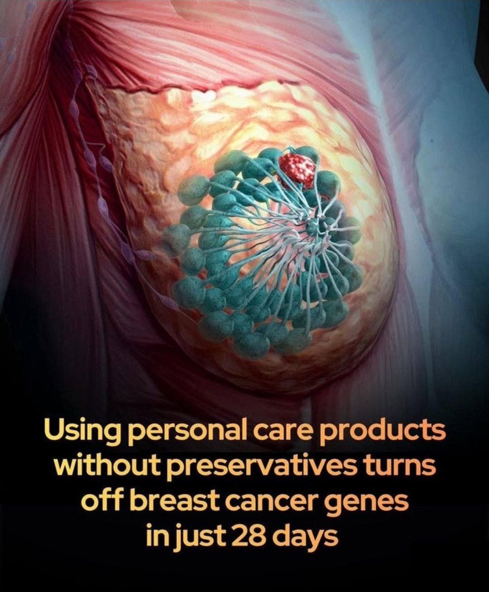 Shining Science tweet media