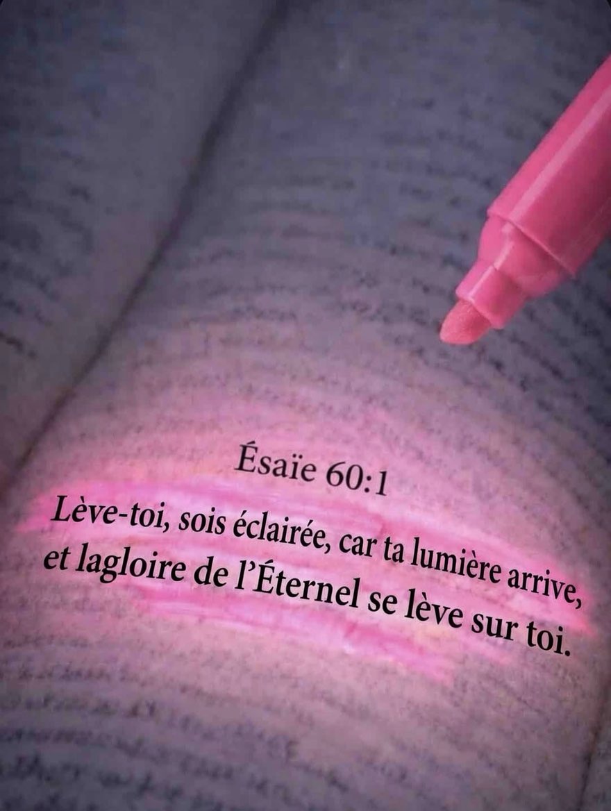 La Saine Doctrine tweet media