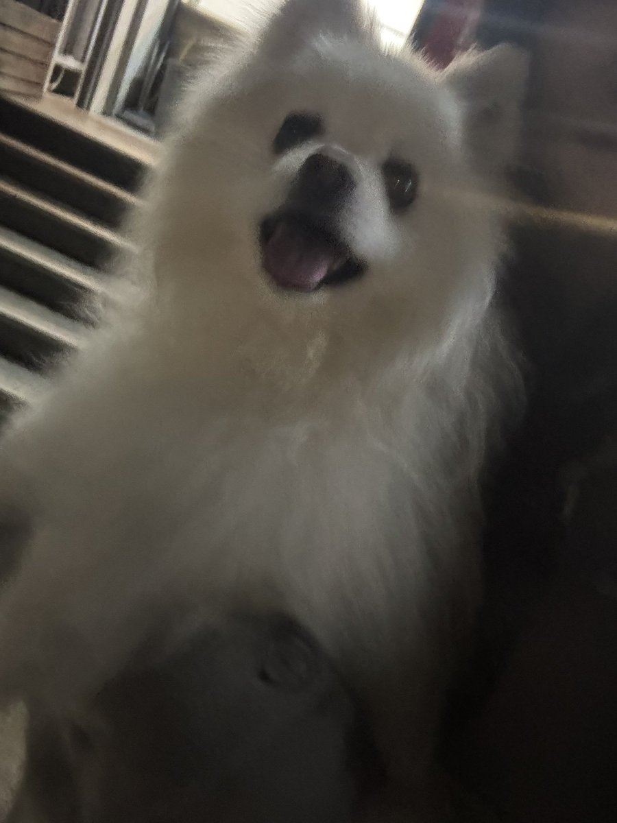 토와とわ tweet media