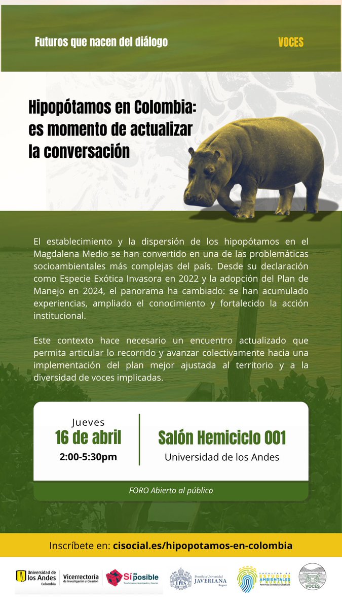 facisouniandes's tweet photo. Hace unos años, hablar de hipopótamos en Colombia parecía una historia lejana, casi anecdótica.
Hoy, es una realidad que atraviesa territorios, comunidades y decisiones urgentes. Este espacio nace para eso: para escuchar, comprender y construir, desde el diálogo, caminos más conscientes frente a una de las problemáticas socioambientales más complejas del país.

🔗 Inscríbete en: https://t.co/8cS9eRhFSX 

#MedioAmbiente #Colombia #Hipopótamos #Diálogo #Territorio