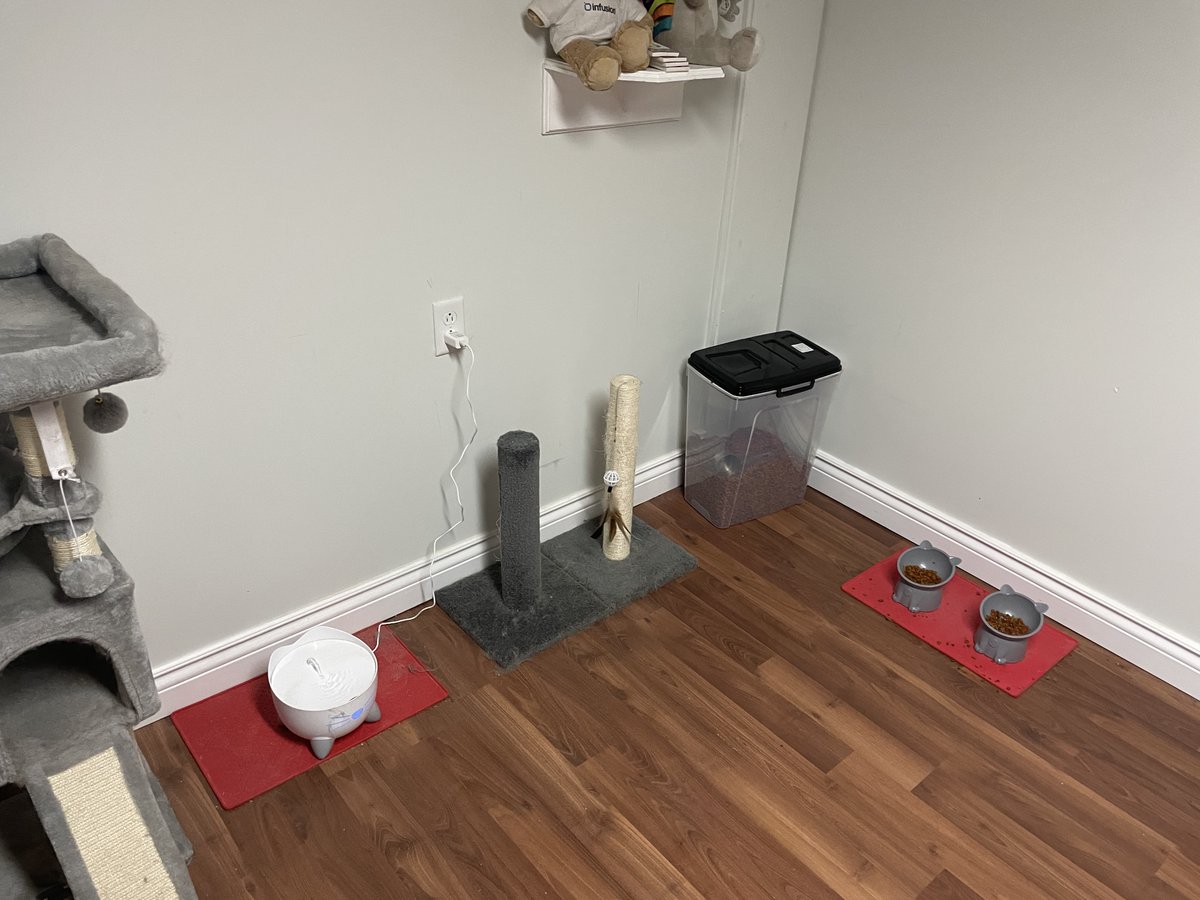 Ian MacGillivary tweet media