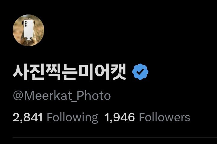 사진찍는미어캣 tweet media