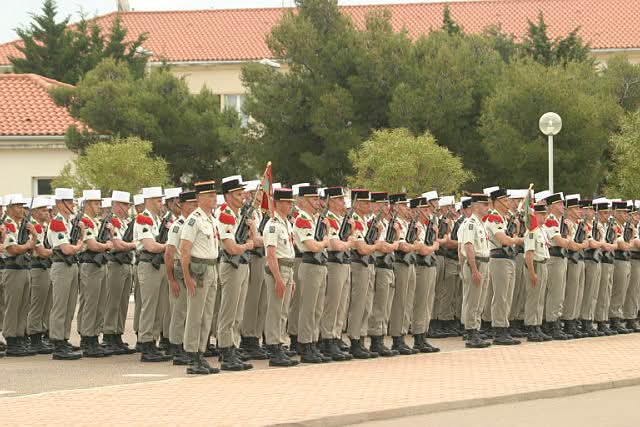 Brian Pleece tweet media