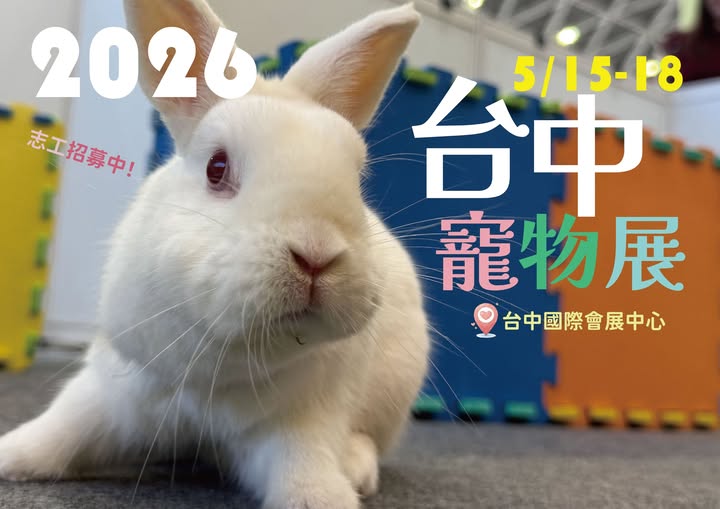 台灣愛兔協會 tweet media