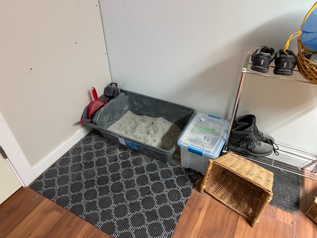 Ian MacGillivary tweet media