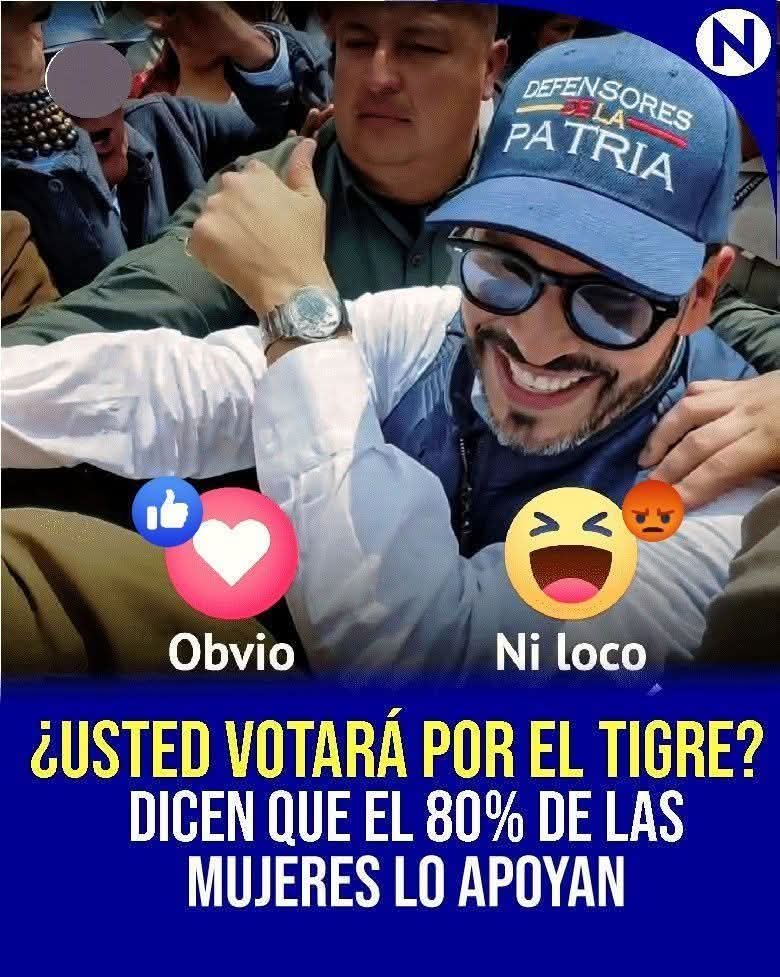 PolitiCrack, tweet media