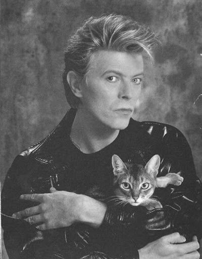 If anyone would like to see a photo of David Bowie with his pet cat, Minor Tim, this is your lucky day.