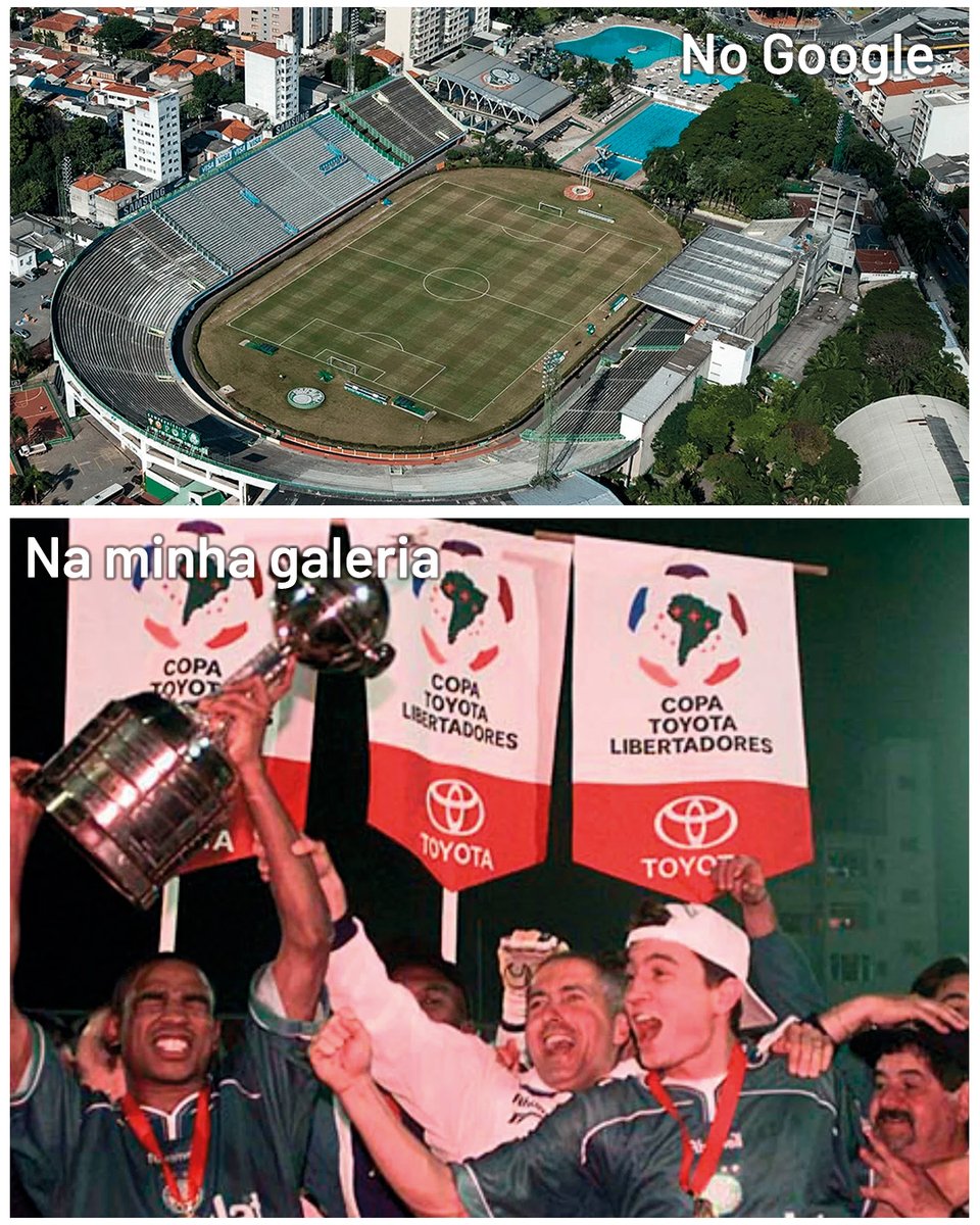 SE Palmeiras tweet media