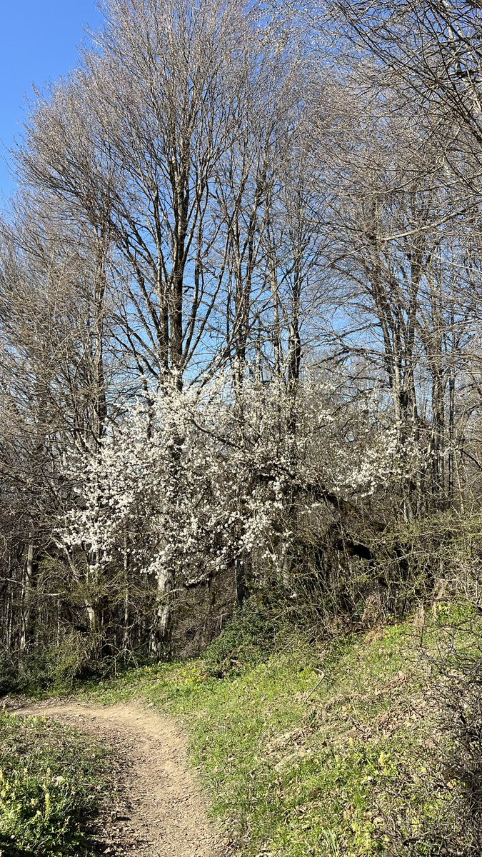 keyvaaaan tweet media