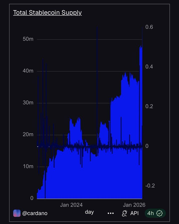 Spidex AI tweet media