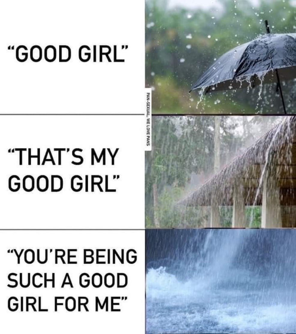 babygirl 🎀 tweet media