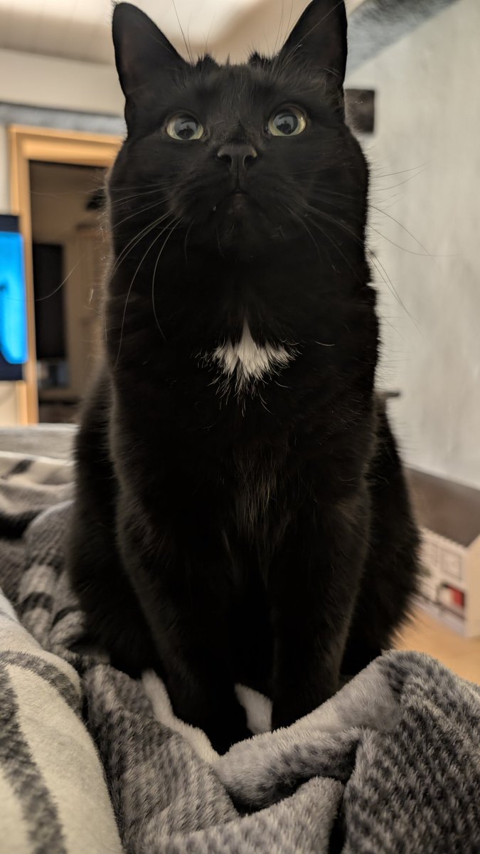 Thorsten S tweet media