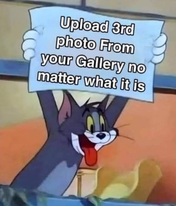 RealestMemes tweet media