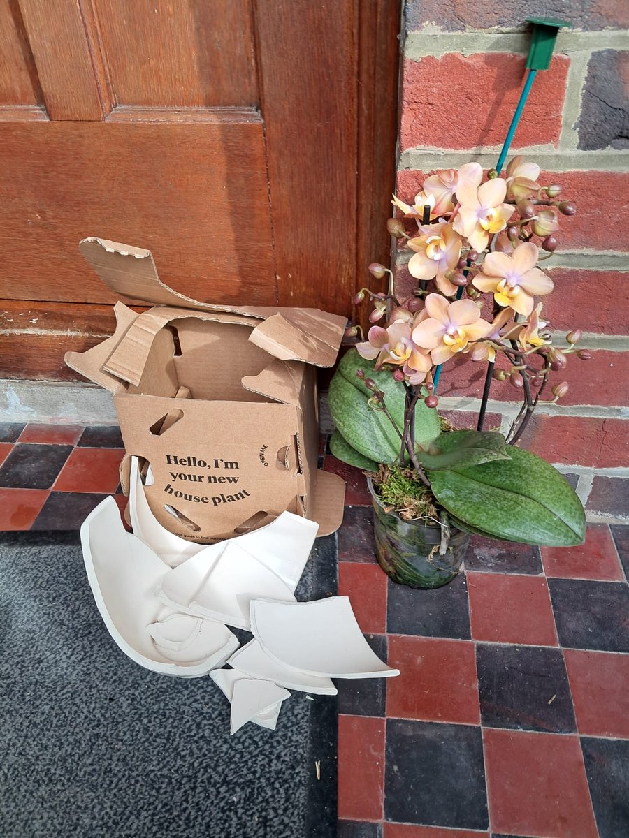 stevenkan's tweet photo. @bloomandwild parents disappointed with the gift as delivered by DPD ☹️ https://t.co/lXSlpHxxs9
