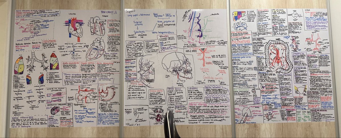 mariana 🩺⋆˚꩜｡ studytwt tweet media