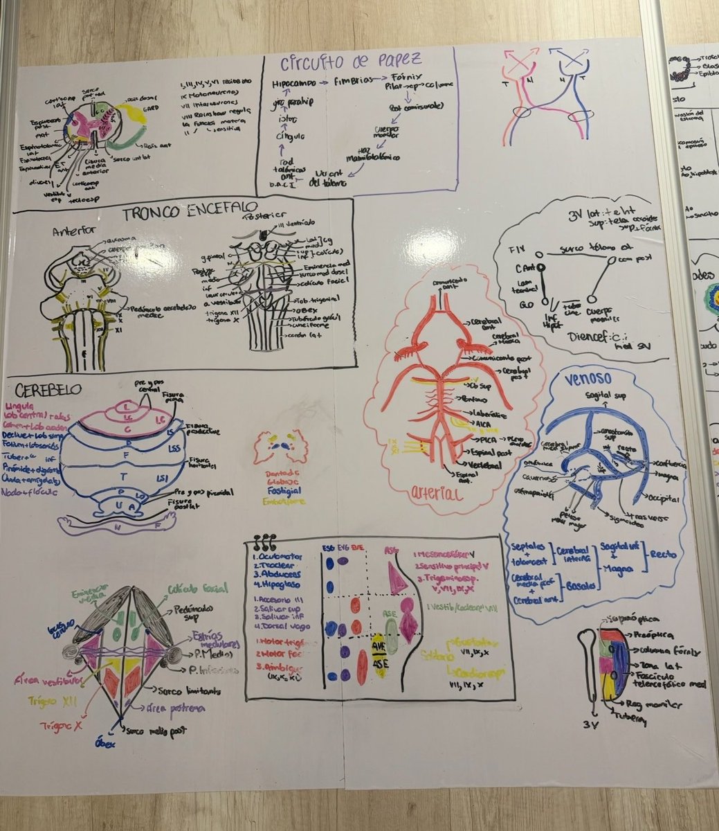 mariana 🩺⋆˚꩜｡ studytwt tweet media