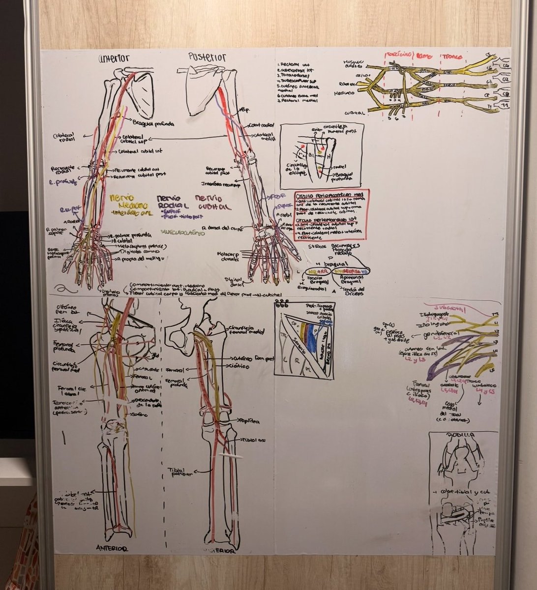 mariana 🩺⋆˚꩜｡ studytwt tweet media