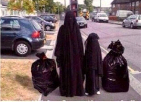 LogicInTrinity tweet media