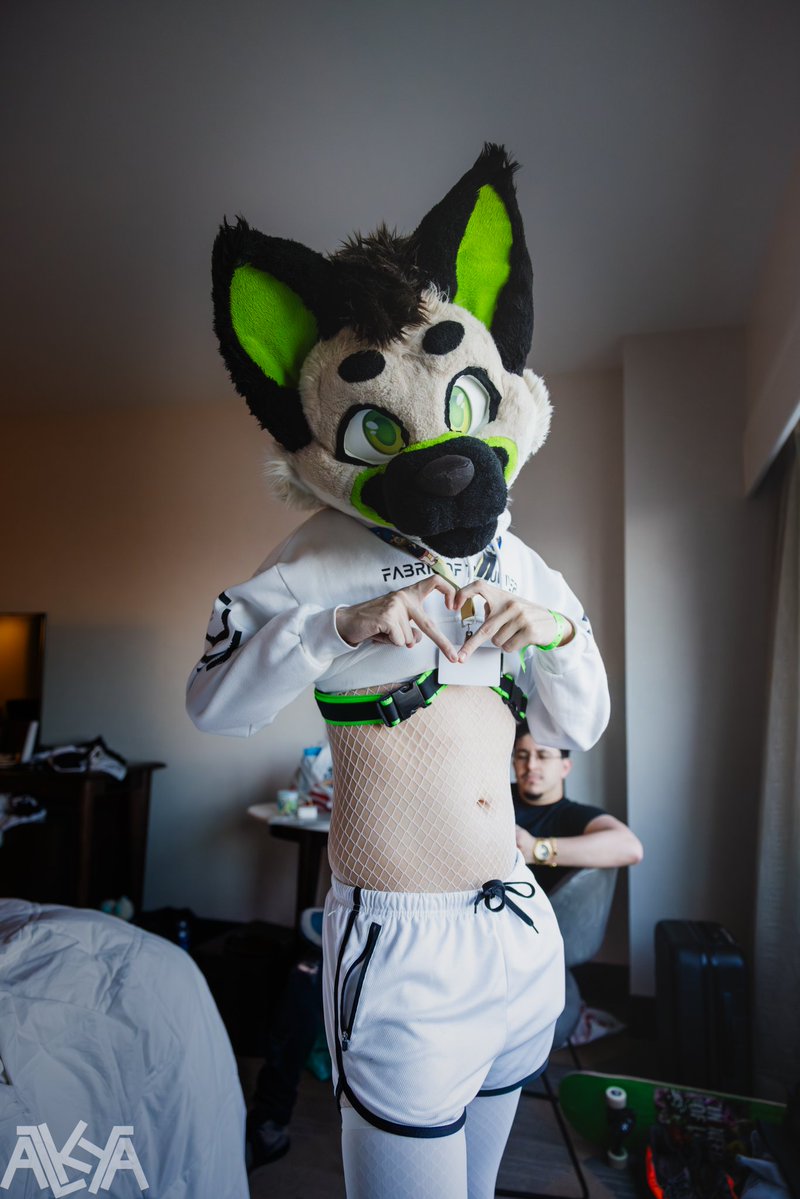 Coyote 🔜 TFF, FWA tweet media