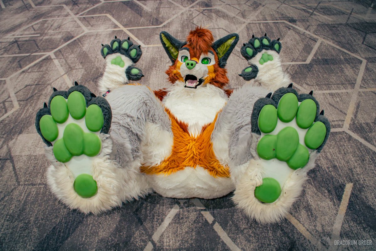 Huxley 🔜 Confuzzled tweet media