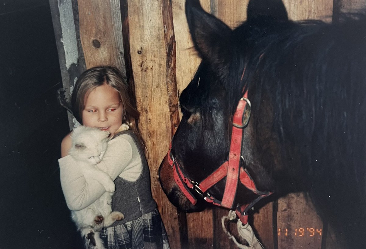 Feliz Catus tweet media