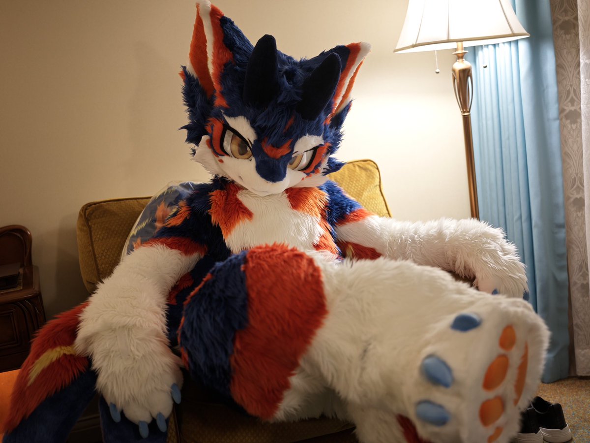 破晓 Allaub tweet media