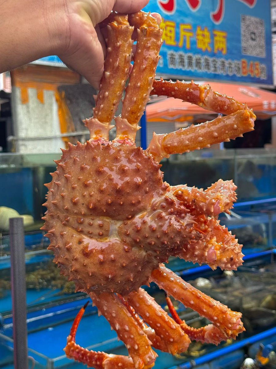 Nicholas Y tweet media