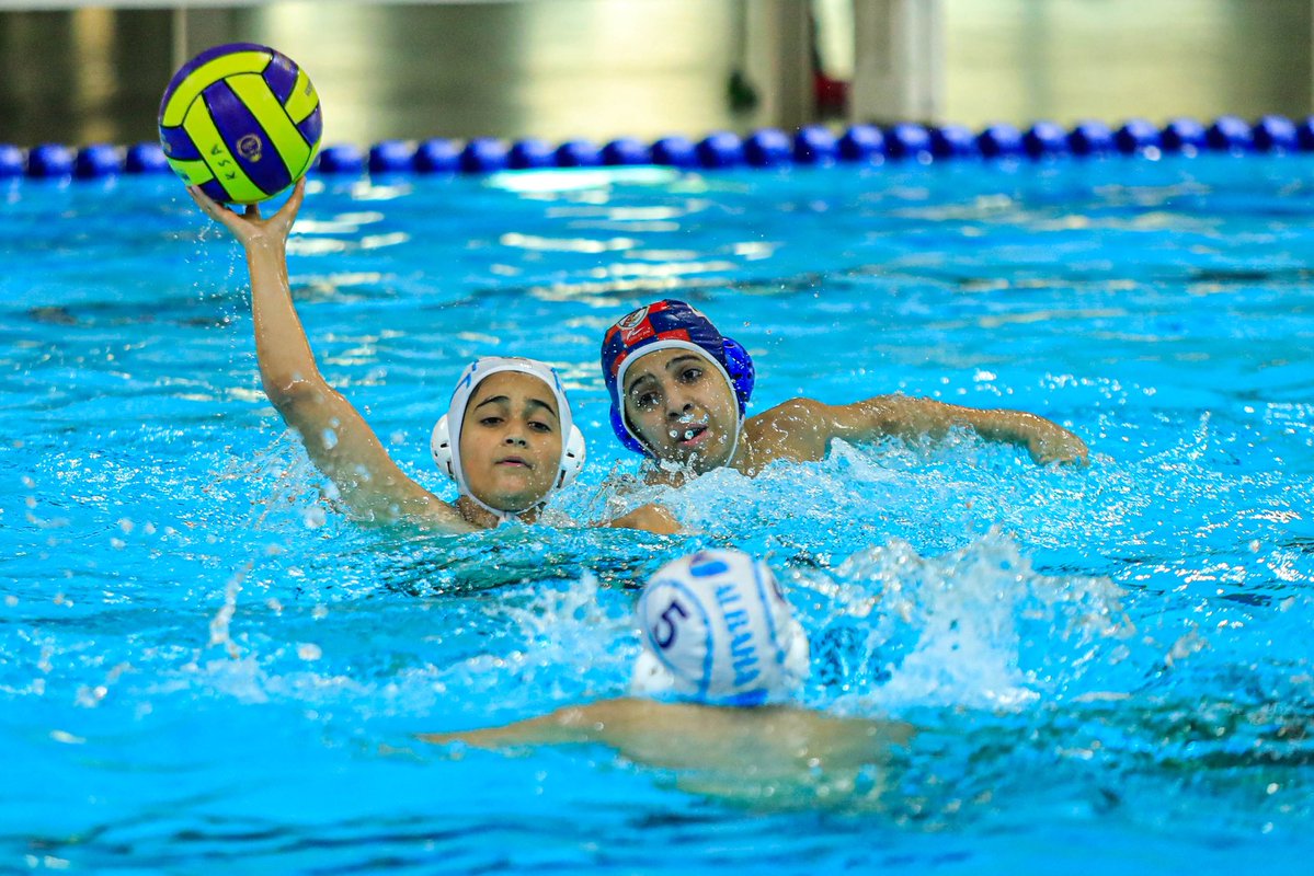 الاتحاد السعودي للسباحة tweet media