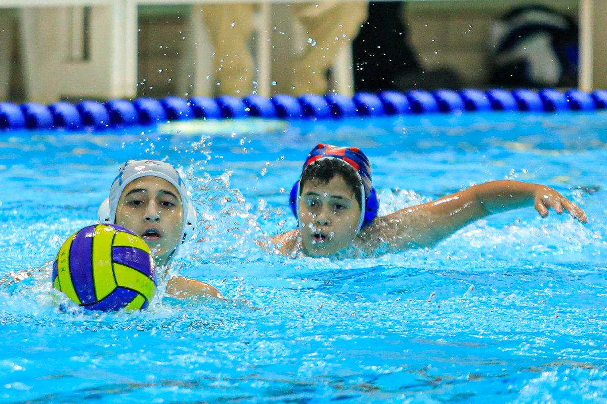 الاتحاد السعودي للسباحة tweet media