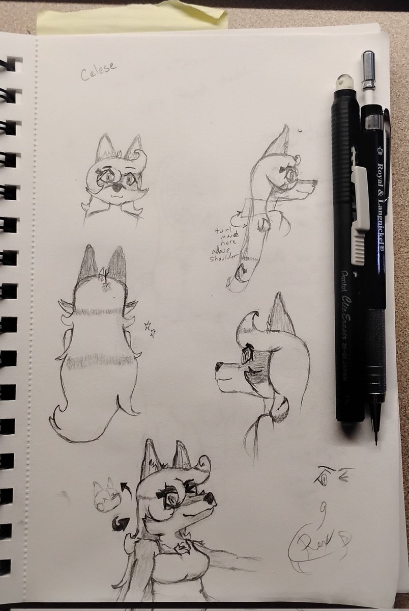 Rex // Charted Space Coffee Shop // tweet media